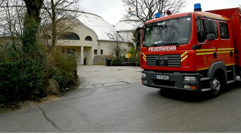 Die Feuerwehr München bekommt von den Elefanten des Tierparks Hellabrunn tierische Unterstützung.