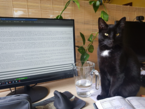 Erfolgreich im Home Office trotz Katze