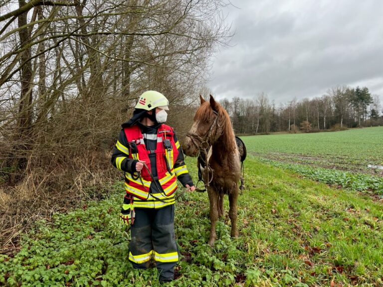 Das Pferd ist zwar mit Schlamm bedeckt, jetzt jedoch in Sicherheit.