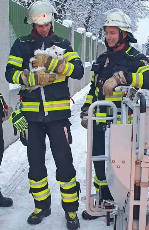 Feuerwehrmänner mit geretteter Katze