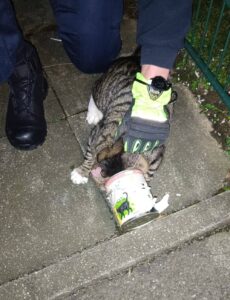 Feuerwehrmann mit der Katze, die in der Dose klemmt.