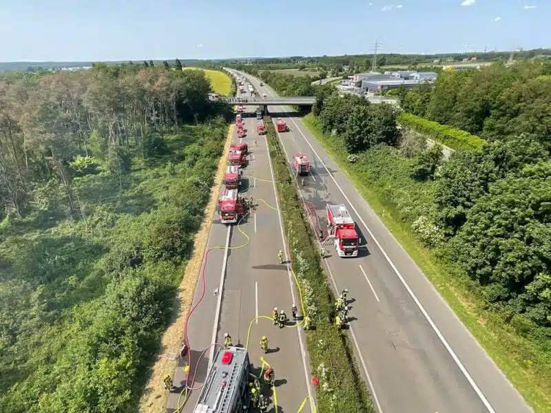 Luftaufnahme von Autobahn und naher Vegetation