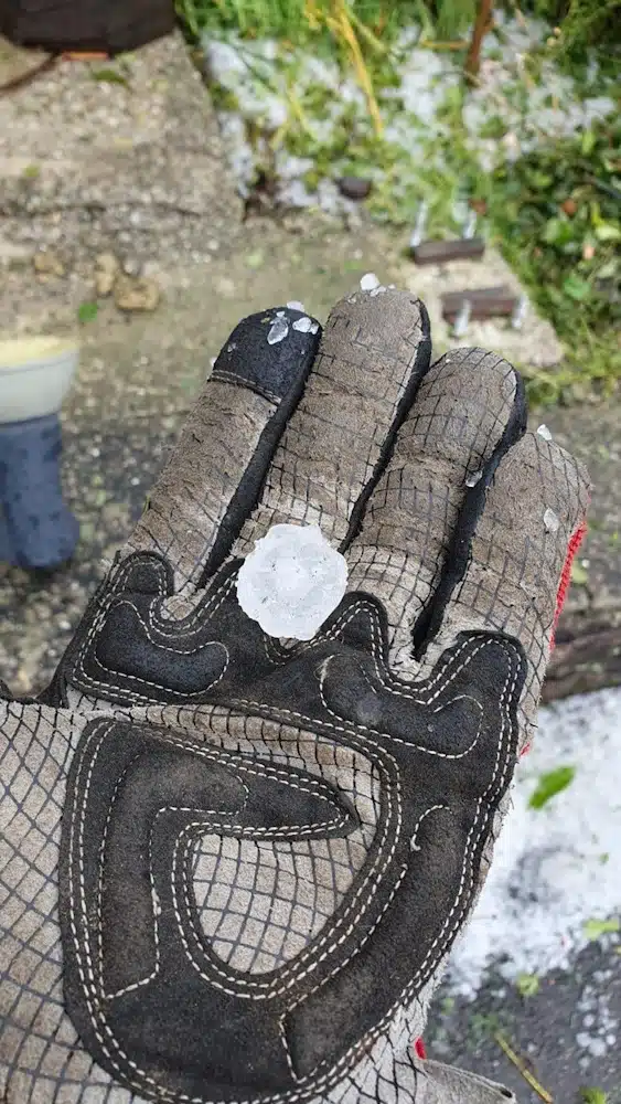 12. Juli 2024: Hagelkugeln von dieser Größe fielen bei dem Unwetter im Landkreis Calw. Foto: Feuerwehr T. Bäuerle 