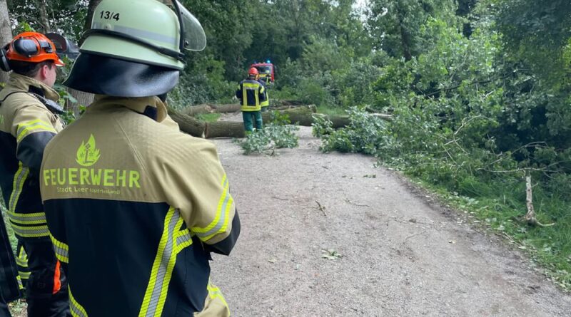 Feuerwehrmann steht vor durch Sturm gestürzten Baum