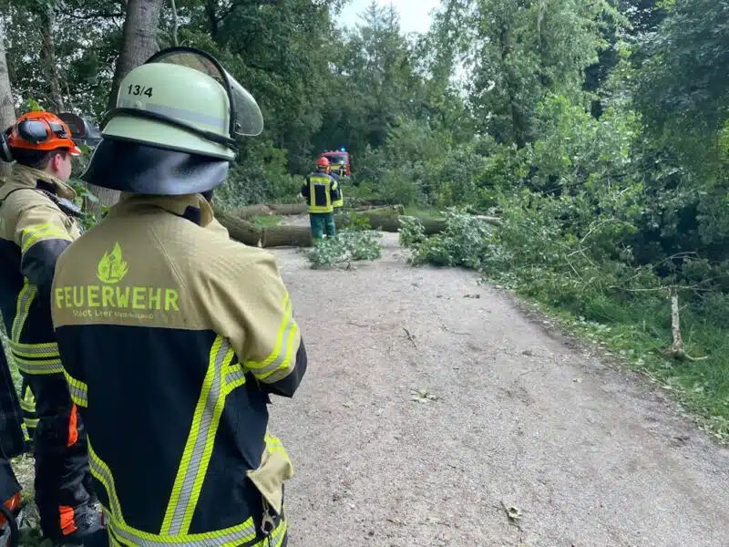 Feuerwehrmann steht vor durch Sturm gestürzten Baum