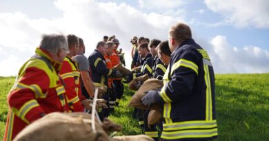 Einsatzkräfte bei der Deichverteidigung