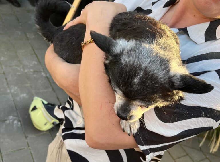 Glücklich gerettet: Der Vierbeiner in den Armen seiner Besitzerin. Foto: Feuerwehr Dinslaken