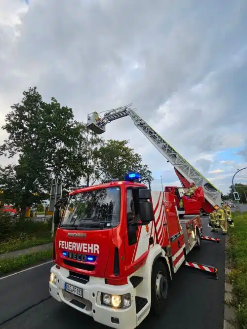 Drehleiter bei der Tierrettung