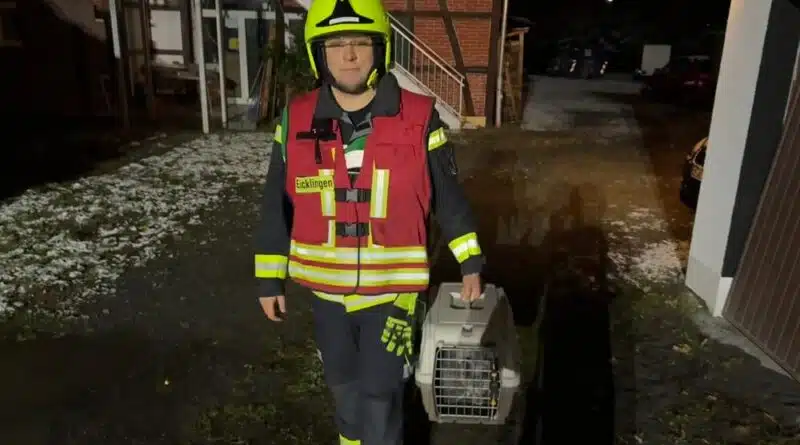 Erfolgreiche Rettungsaktion: zwei Katzen konnten aus dem Gefahrenbereich gerettet werden.