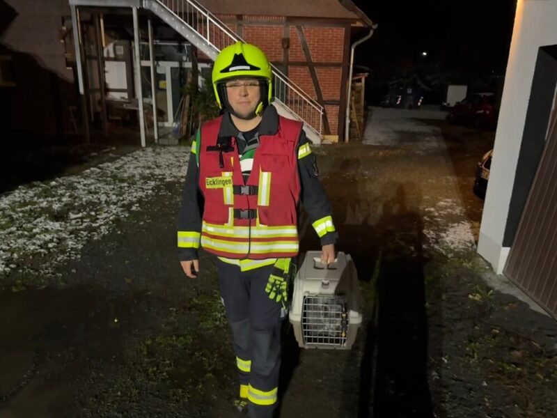 Erfolgreiche Rettungsaktion: zwei Katzen konnten aus dem Gefahrenbereich gerettet werden.