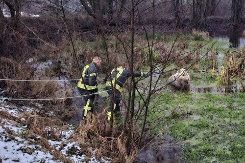 Die Einsatzkräfte näherten sich zu zweit mit einer Schlinge. Foto: Feuerwehr Breckerfeld.