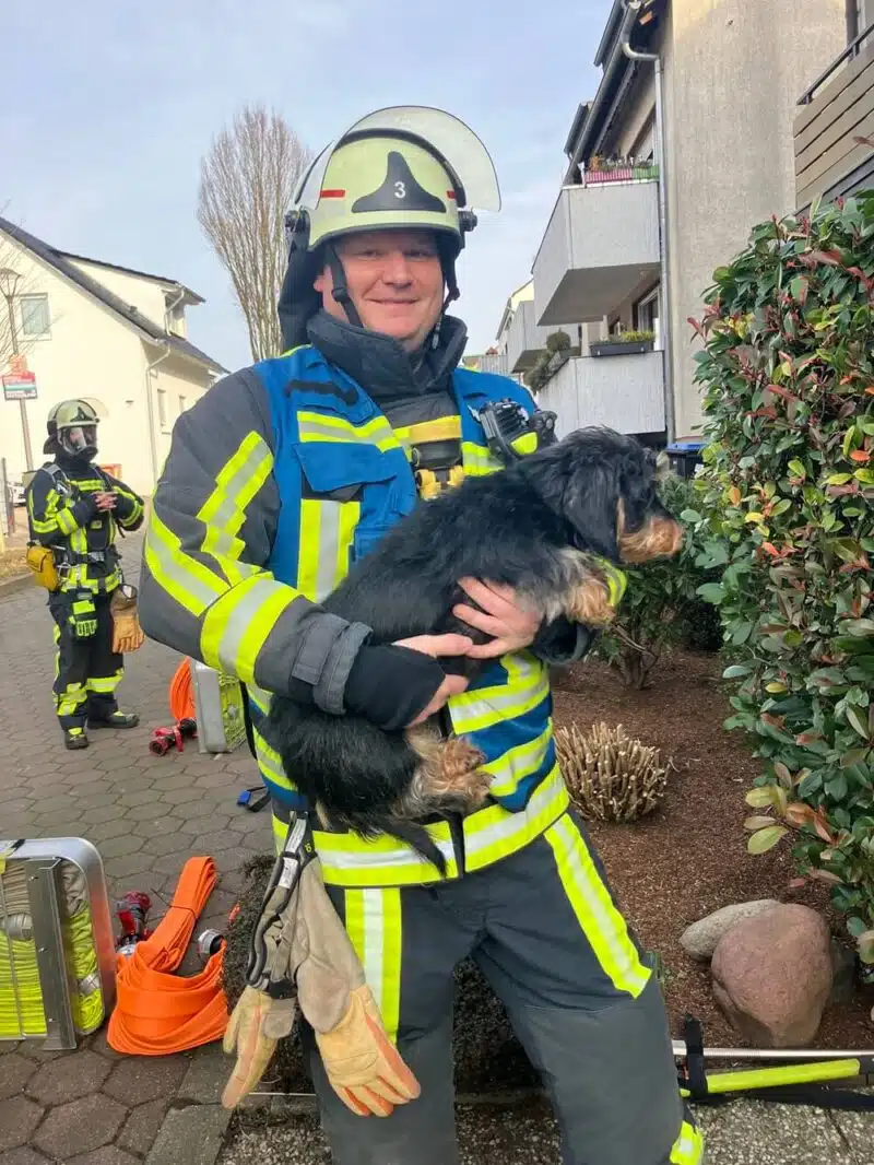 Dieser Vierbeiner kam mit dem Schrecken davon. Foto: Feuerwehr Bochum