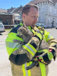 Katze auf dem Arm des Feuerwehrmanns