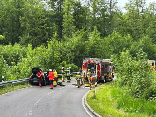 In dieser unübersichtlichen Kurve der K7783 im Wald war es zur Kollision gekommen. Foto: KFV Bodenseekreis