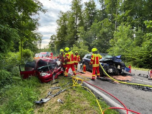 Einsatzkräfte der Freiwilligen Feuerwehren Daisendorf und Meersburg befreien einen eingeklemmten Fahrzeuglenker aus seinem Pkw. Foto: KFV Bodenseekreis