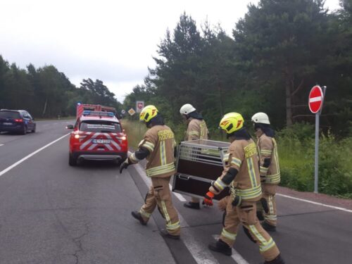 Tiertransport: Einsatzkräfte der BF Wolfsburg sicherten einen aggressiven Hund, nachdem der Tierarzt ihn betäubt hatte. (Foto: Feuerwehr Helmstedt)