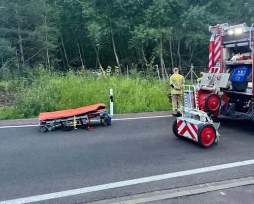 Die Personenrettung unter Einsatz von hydraulischem Rettungsgerät konnte erst nach der Sicherung des Hundes beginnen. (Foto: Feuerwehr Helmstedt)
