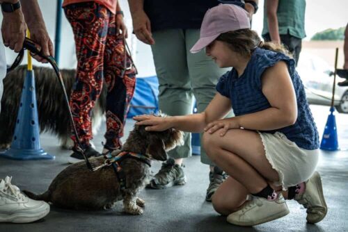 Zutrauen gewinnen: Der Rauhaardackel lässt sich streicheln. Auch ängstlichere Kinder konnten so Zug um Zug ihre Scheu vor Hunden überwinden. (Foto: Feuerwehr der Stadt Arnsberg)