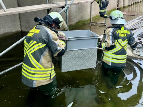 Wathosen benötigt: Die Feuerwehrkräfte stehen im 60 cm hohen Wasser und transportieren mit einer Kiste die Katze. (Foto: FF Hünxe)
