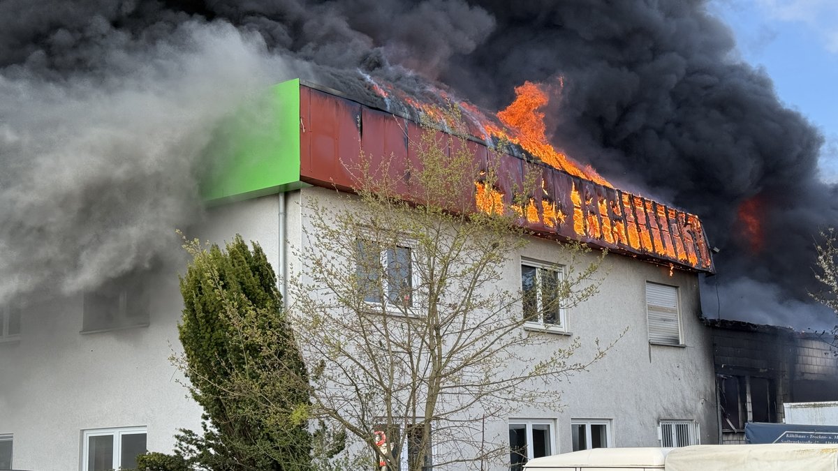 Schnelle Brandausbreitung: Starker Wind erschwerte zu Beginn des Einsatzes die Löscharbeiten. Fotos: Feuerwehr Stadt Kassel