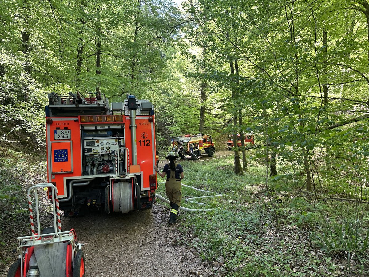 Feuerwehr Stuttgart: Einsatzfahrzeuge im Waldgebiet. (Foto: Feuerwehr Stuttgart)